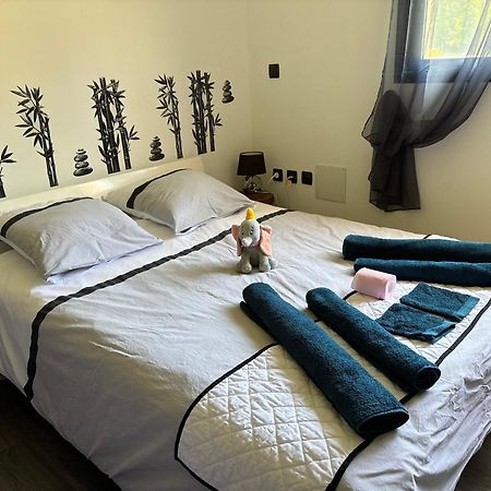 Maison Moderne Au Calme Avec Billard, Jacuzzi, Bain A Remous, Piscine, Babyfoot Labastide-du-Temple エクステリア 写真
